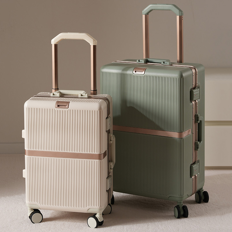 2026 New Luggage Carrier 20-in - Aluminum Frame Carry On Luggage review and price